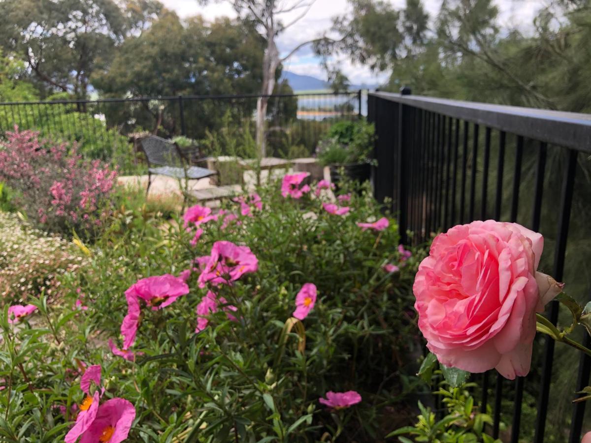 Troldhaugen Lodge - Adults Only Jindabyne Εξωτερικό φωτογραφία